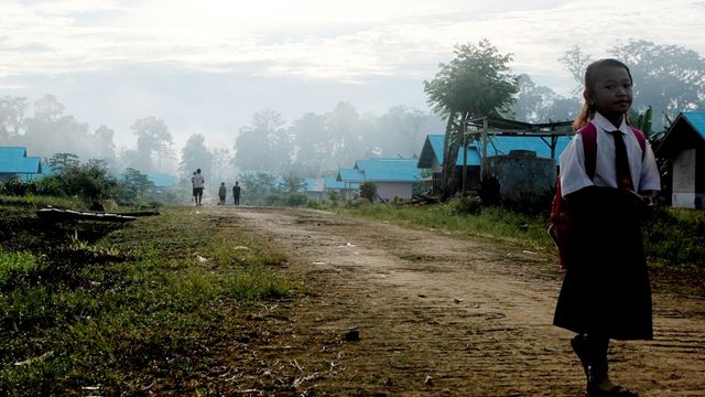 Masuk Kawasan Hutan, Pembangunan Trans Mentawai Terhenti | kumparan.com