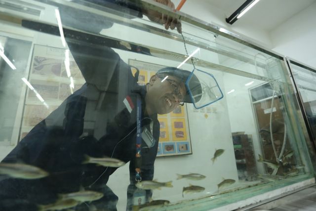 Bambang Retnoaji Ketua Tim Aquatic Research Group memperlihatkan teknologi budidaya ikan wader. Foto : Istimewa