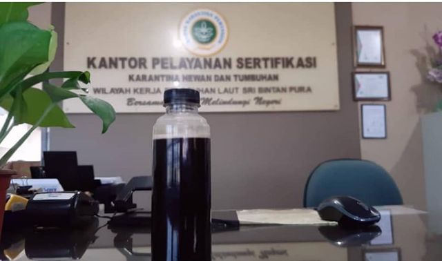 Madu yang di ekspor ke Malaysia. Foto: Dok. BKP Tanjungpinang.