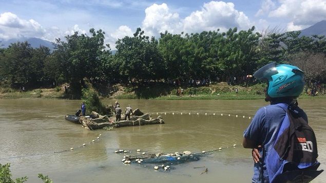 Satgas penanganan konflik buaya BKSDA memasang pukat jaring yang diketahui tempat buaya berkalung ban berjemur di Sungai Palu, Kota Palu, Jumat (7/2). Foto: Kristina Natalia/PaluPoso