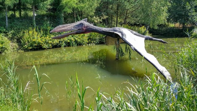 Foto: Pteosaurus