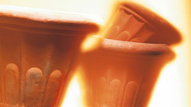 Foto:  Gelas  sekali pakai dibuat oleh peradaban Minoa untuk minum anggur