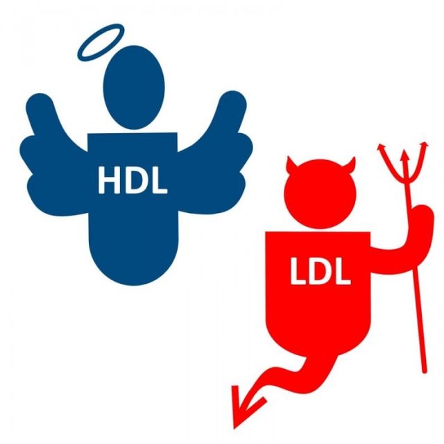 HDL (kolesterol baik) dan LDL (kolesterol jahat)