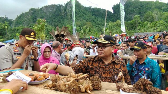 Bupati Balangan H Ansharuddin saat Festival Buah. Diskominfo Balangan