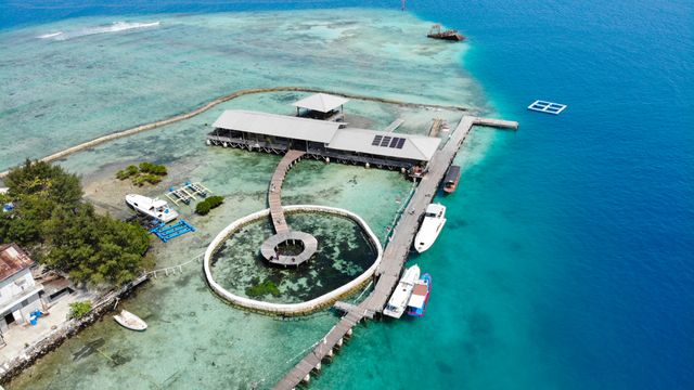 Rumah makan di tengah laut di Kepulauan Seribu. Foto: dok. Shutterstock