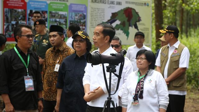 Presiden Jokowi saat menghadiri pelepasliaran Elang Jawa dan menanam pohon di Taman Nasional Gunung Merapi (TNGM)  Foto: Dok. BNPB