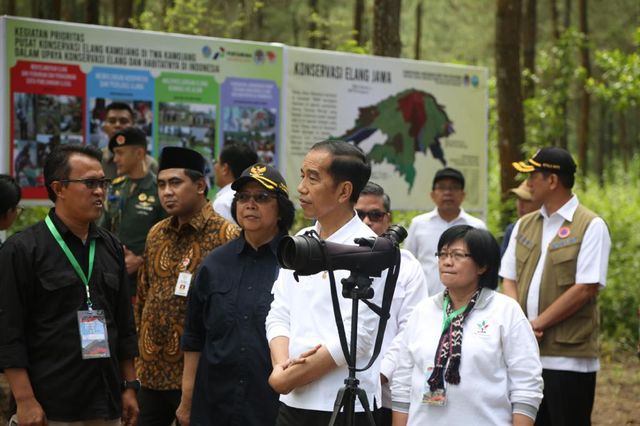 Presiden Jokowi sesaat setelah melepasliarkan Elang Jawa dan menanam pohon di Taman Nasional Gunung Merapi (TNGM) Foto: Dok. BNPB