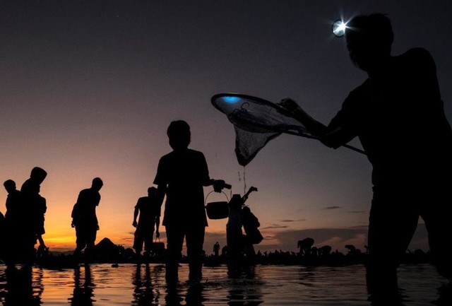 Sambil membawa jaring, para pemburu sibuk mencari cacing warna-warni yang dikenal sebagai nyale. Foto: Dok. Kemenparekraf