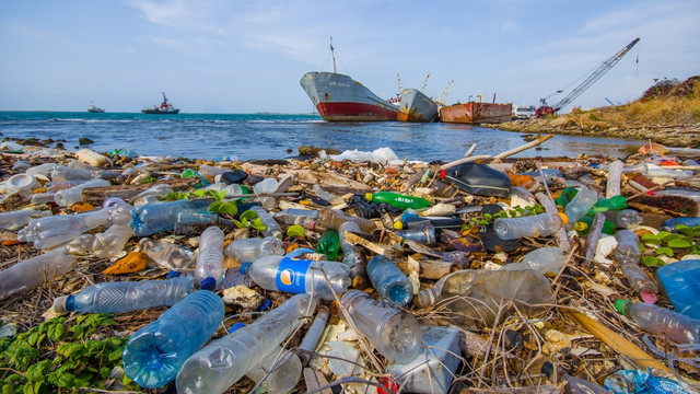 Ilustrasi sampah plastik di pantai. Foto: Shutter Stock