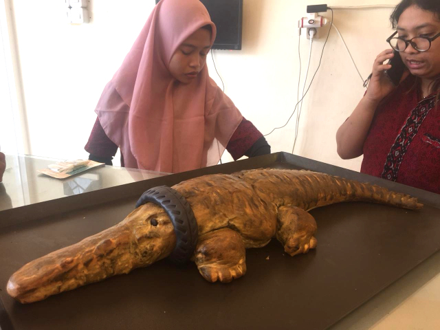 Roti buaya berkalung ban dengan ukuran 120 cm dijual dengan harga Rp80 ribu per buah. Foto: Kristina Natalia/PaluPoso