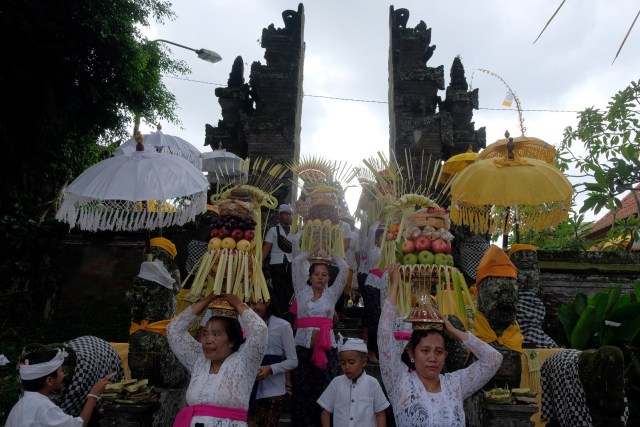 Sejumlah perempuan Bali mengusung sesajen dan hiasan janur dalam tradisi Mapeed yaitu rangkaian persembahyangan Hari Raya Galungan, Bali, Rabu (19/2). Foto: ANTARA FOTO/Nyoman Hendra Wibowo