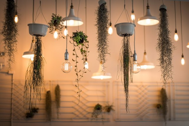 Ilustrasi lampu rumah dok Pixabay/Pexels
