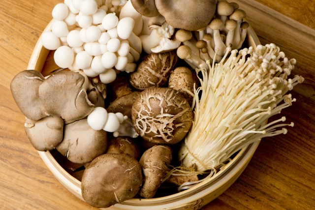 Ilustrasi jamur. Foto: dok.shutterstock
