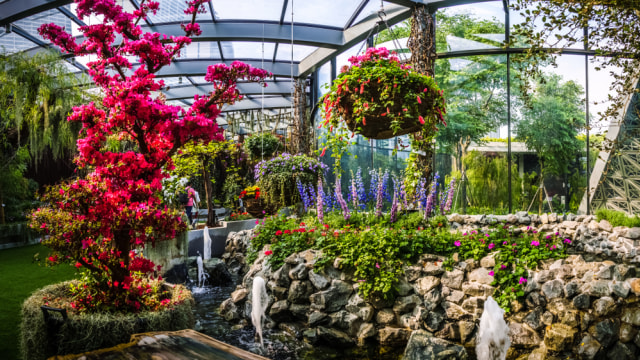 com-Floral Fantasy. Foto: Shutterstock