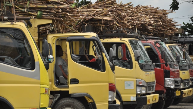 Deretan truk membawa tumpukan tebu untuk digiling di pabrik gula Sei Semayang PTPN II Kabupaten Deli Serdang, Sumatera Utara. Foto:  ANTARA/Septianda Perdana