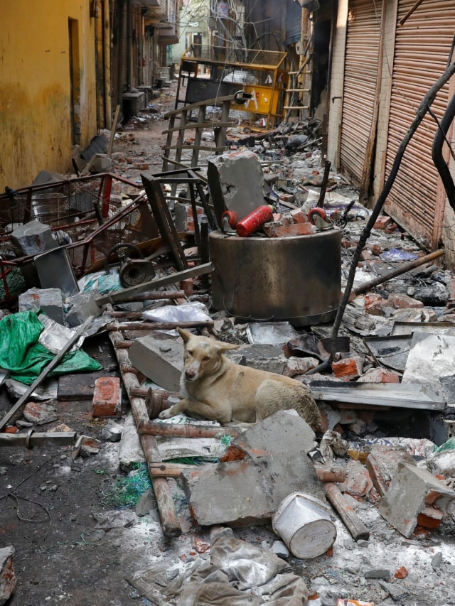 Seekor anjing duduk di antara puing-puing usai kericuhan pada aksi demonstrasi di New Delhi, India, (26/2) Foto: REUTERS / Adnan Abidi