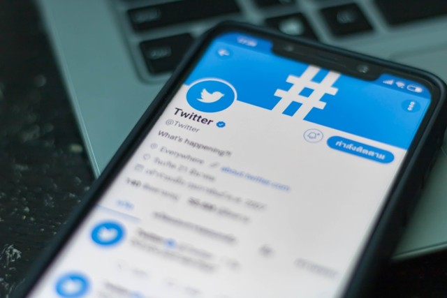 Ilustrasi twiter. Foto: dok.Shutterstock