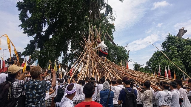 Gerebeg Mekotek, Tradisi Unik Rayakan Kuningan di Desa Munggu, Badung, Bali