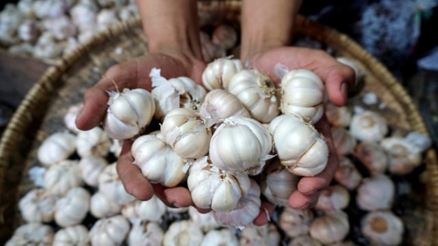 Pedagang memegang bawang putih di pasar tradisional, di Jakarta.  Foto: Fanny Kusumawardhani/kumparan