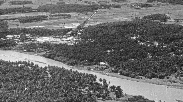 Ribuan pohon kelapa hidup subur di sekitar teluk Palu pada zaman dulu. Foto: Dok Komunitas Historia Sulteng