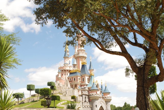 Ilustrasi Disneyland. Foto: Shutter Stock