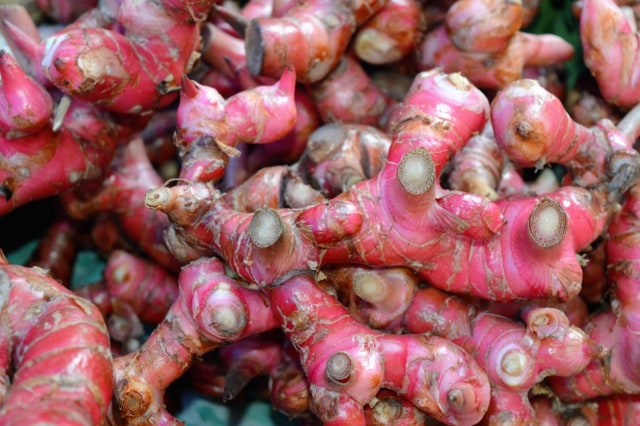 Jahe merah. Foto: Shutterstock