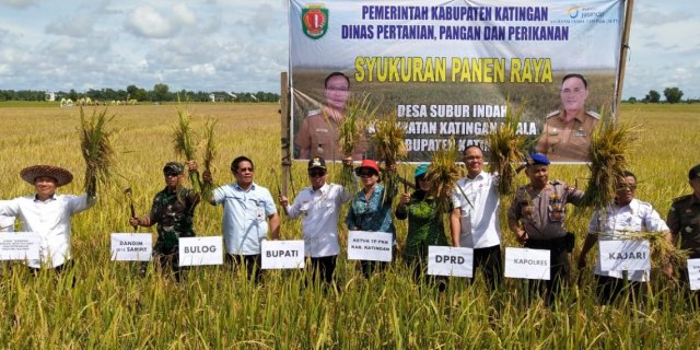 Panen Raya Padi di Subur Indah, Bupati Katingan Hadir Bersama Ketua Umum FKDB