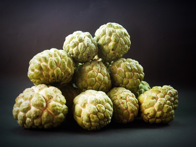 Buah srikaya. Foto : Pixabay