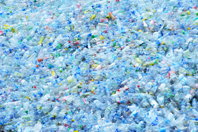 Ilustrasi botol plastik Foto: Shutter Stock