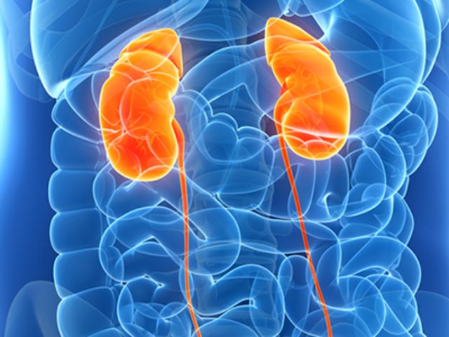 https://www.niddk.nih.gov/health-information/kidney-disease