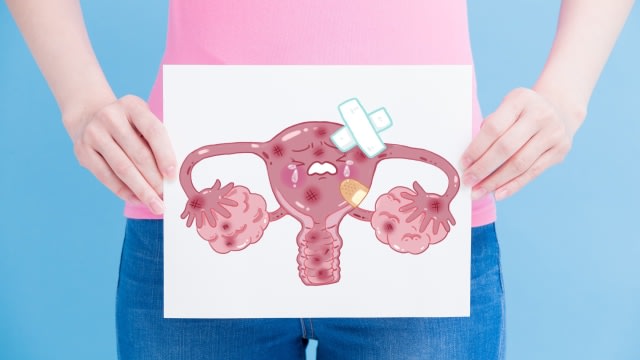 Ilustrasi rahim. Foto : Thinkstock