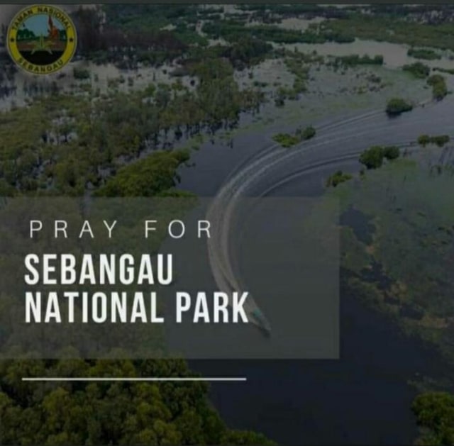 6 Rimbawan Gugur di TN Sebangau Menteri LHK Himbau Pasang Bendera Setengah Tiang