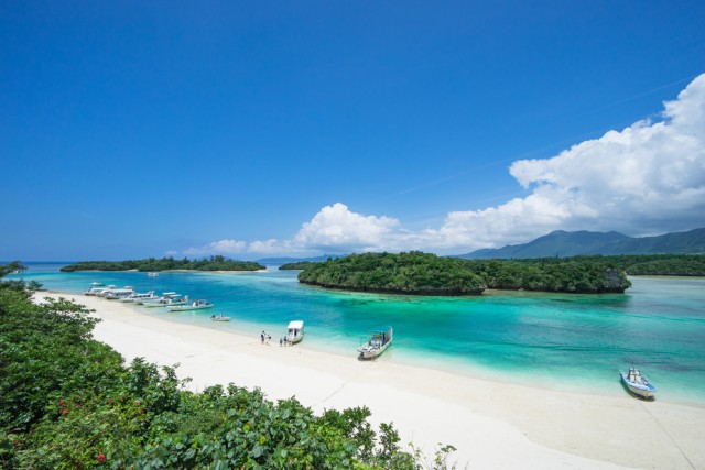Pulau Okinawa di Jepang Foto: Shutter Stock