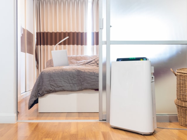 Studi: Pakai Air Purifier di Rumah Bantu Kurangi Risiko Serangan Jantung.  Foto: Shutterstock