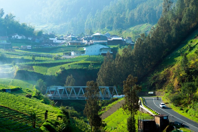 Panorama indahnya Gunung Lawu Foto: Shutter Stock