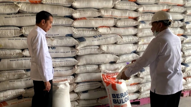 Presiden Joko Widodo (kiri) didampingi Dirut Bulog, Budi Waseso, meninjau beras di Gudang Bulog Kelapa Gading, Jakarta, Rabu (18/3). Foto: Dok. Biro Pers Media dan Informasi Sekretariat Presiden