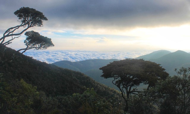 Expedisi Leuser 2015