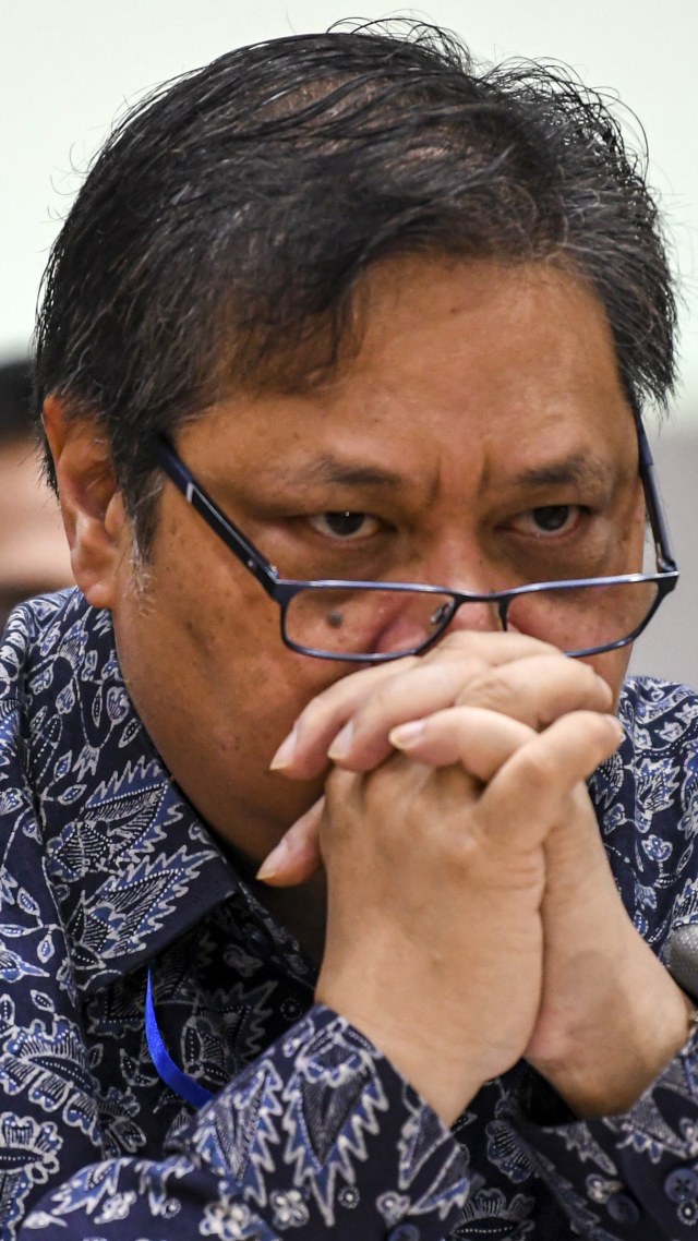 Menko Perekonomian Airlangga Hartarto . Foto: ANTARA FOTO/Nova Wahyudi