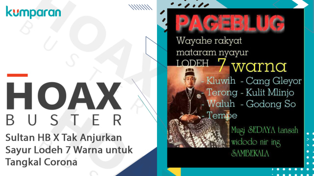 Hoax Buster: Sultan HB X Tak Anjurkan Sayur Lodeh 7 Warna untuk Tangkal Corona Foto: Dok. Istimewa