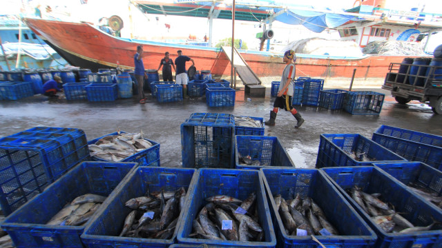 Pekerja mengangkut ikan saat lelang di TPI Karangsong, Indramayu, Jawa Barat, Sabtu (21/3/2020). Foto: ANTARA FOTO/Dedhez Anggara