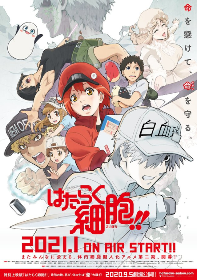 Hataraku Saibou!! Doc. Twitter