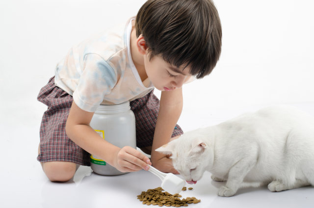 com-Ilustrasi anak berempati. Foto: Shutterstock