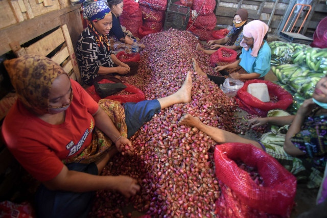 Pedagang membersihkan bawang merah di Pasar Induk Kramat Jati, Jakarta Timur, Rabu (25/3). Foto: ANTARA FOTO/Indrianto Eko Suwarso