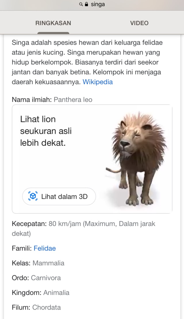 Tampilan lihat dalam 3D (dok: Google)