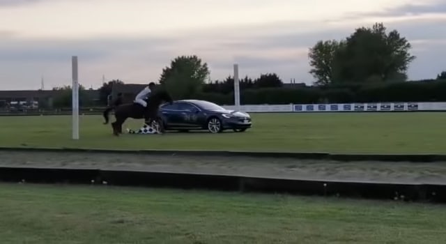 Balapan antara Kuda VS Mobil Tesla S. Foto: YouTube/Massimo Alboreto