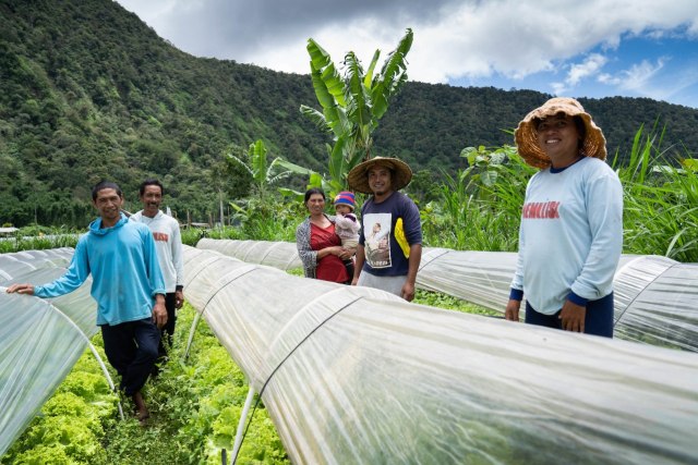 Mitra petani TaniHub berpose di tengah-tengah ladang selada di Bedugul, Bali Foto: Bhisma Adinaya/Tanihub Group