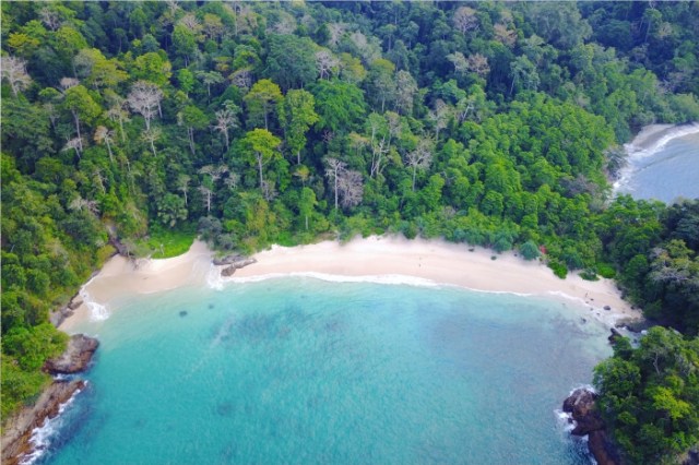 Foto dari udara garis pantai di teluk hijau, bersih dan tersembunyi. Siapa nih yang pengen main pasirnya?