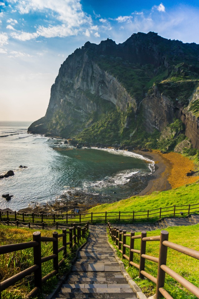 Pulau Jeju, Korea Selatan Foto: Shutter Stock