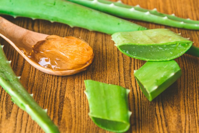 Aloe Vera. Foto: Shutterstock