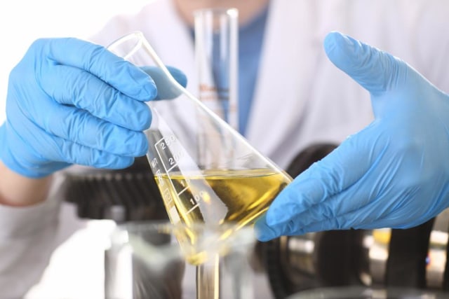 com-Ilustrasi peneliti Foto: Shutterstock